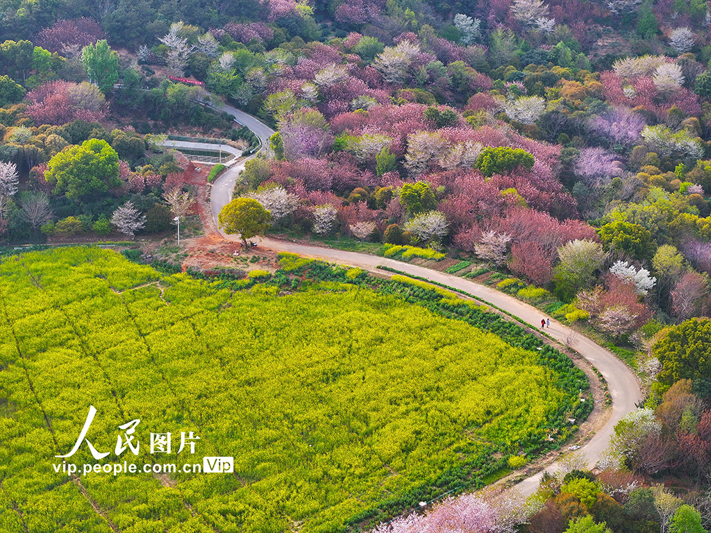 江苏苏州：太湖之滨春景如画【4】