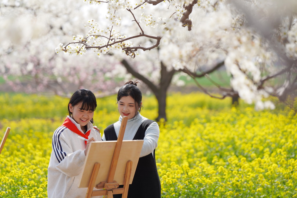 4月3日，河北省邢台市内丘县大都城小学学生在果园写生。新华社发（刘继东摄）