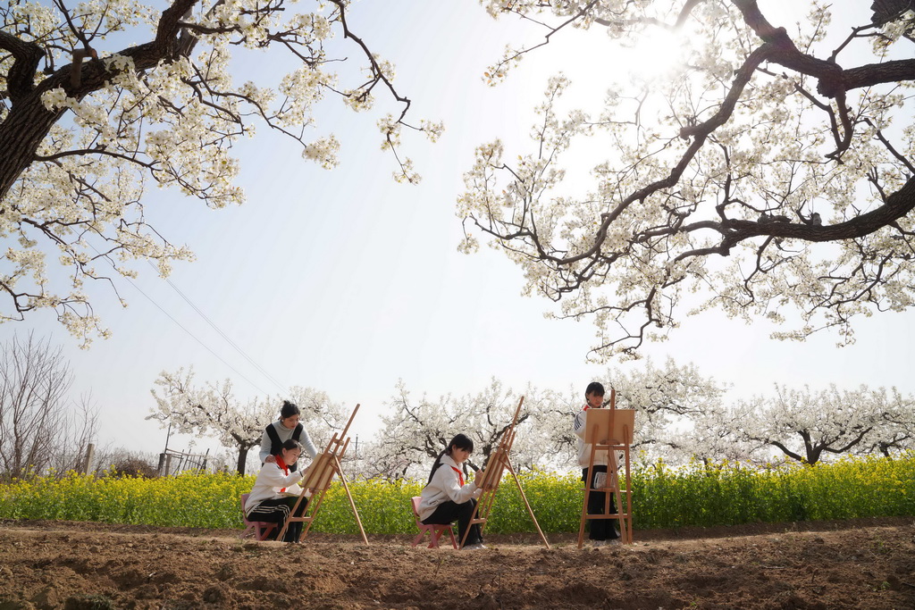 4月3日，河北省邢台市内丘县大都城小学学生在果园写生。新华社发（刘继东摄）