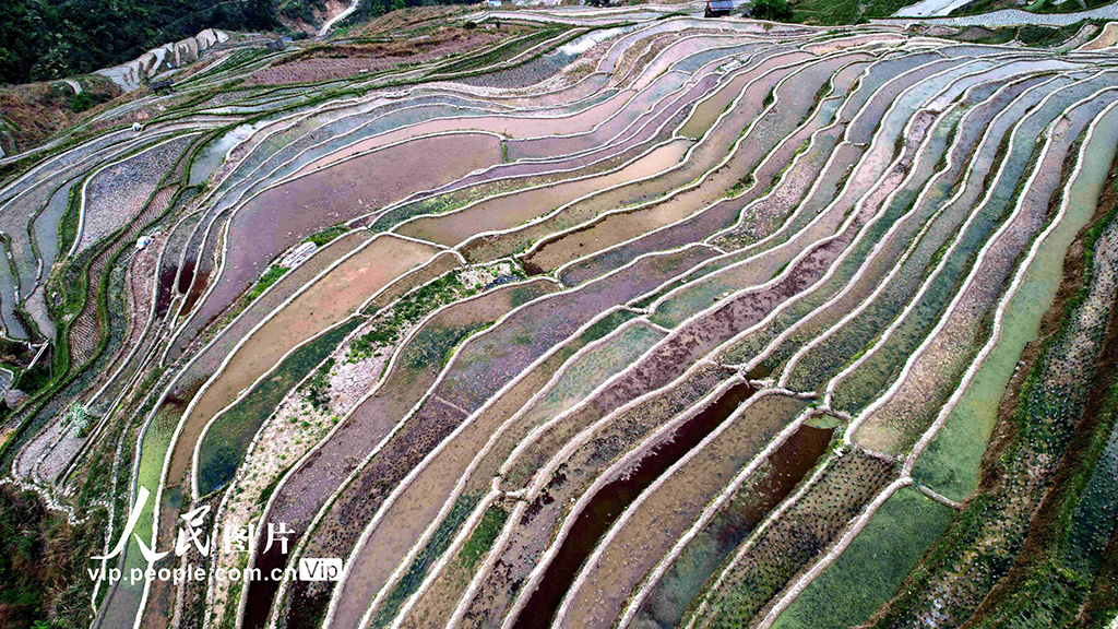 贵州从江:春日梯田美如画【2】