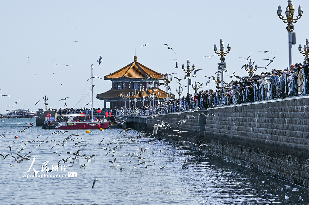 山东青岛：栈桥景区游人如织【3】