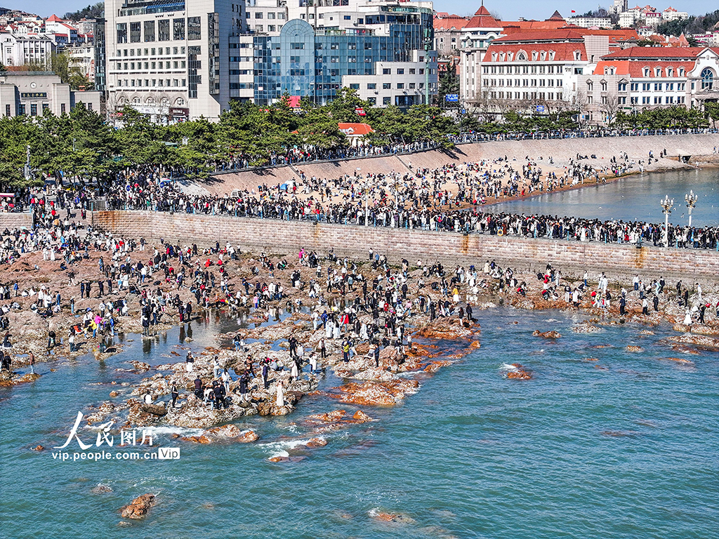 山东青岛：栈桥景区游人如织【5】