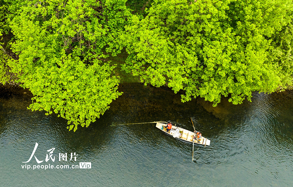 江西宜春：巡河护水 净水清流【3】