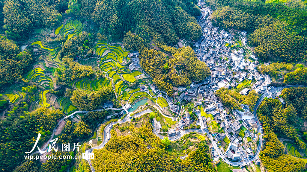 安徽黄山：灵山花海 美景如画