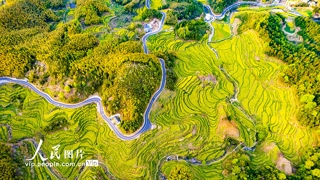 安徽黄山：灵山花海 美景如画【3】