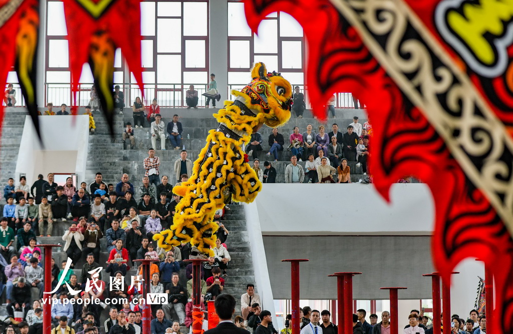 广西贺州：狮王争霸赛精彩纷呈