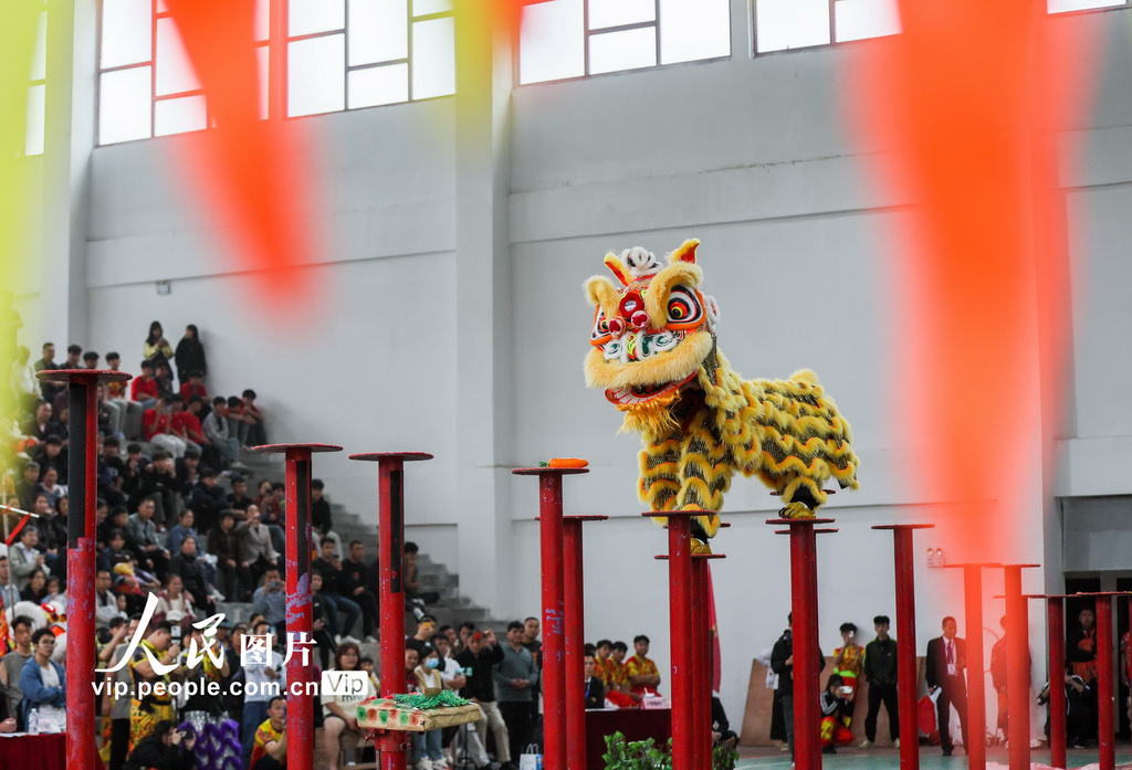 广西贺州：狮王争霸赛精彩纷呈【4】