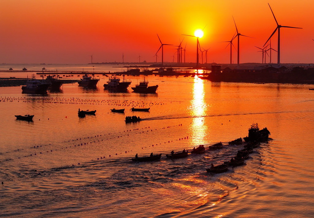 4月15日，在山东省荣成市石岛管理区桑沟湾海域，渔民驾船出海作业（无人机照片）。新华社发（李信君 摄）