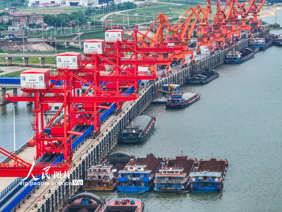 江西南昌：姚湾综合码头装卸作业忙【2】