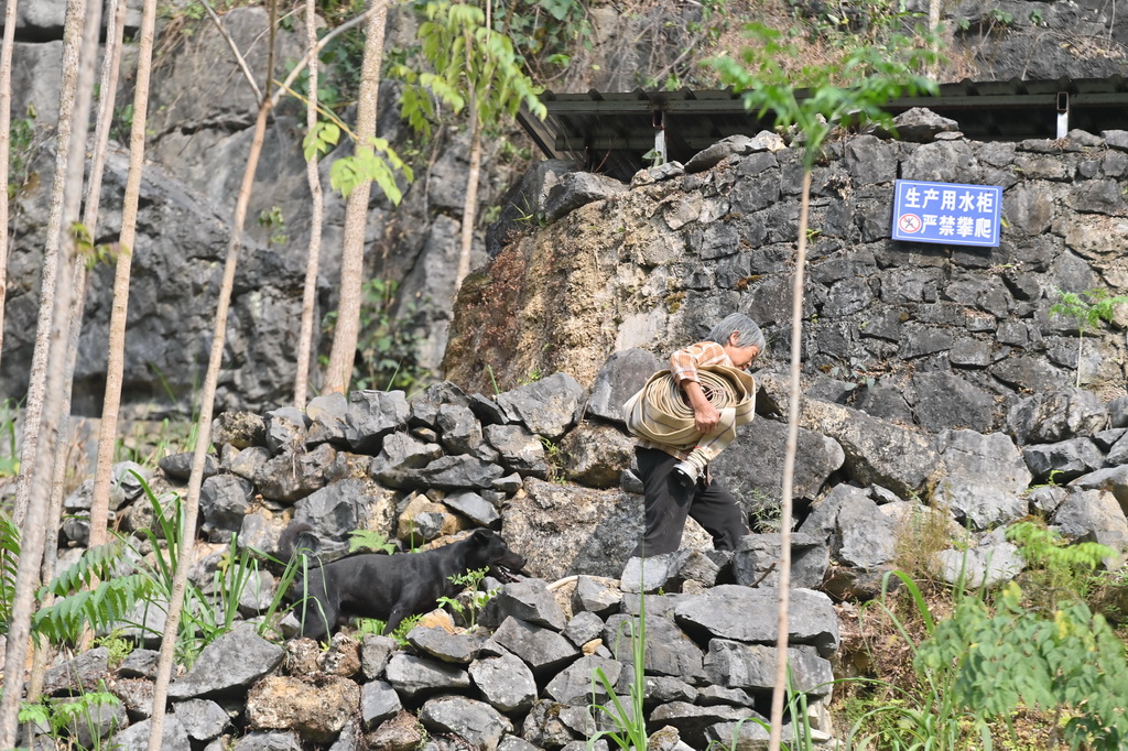 4月21日，广西马山县金钗镇龙印村村民在铺设水管，准备将当地政府送来的水引进水柜。
