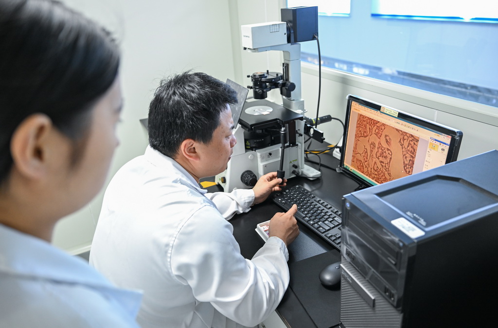 4月10日，在湖北省宜昌市三峡集团长江生物多样性研究中心，科研人员胡亚成（右）观察中华鲟的性腺发育状况。