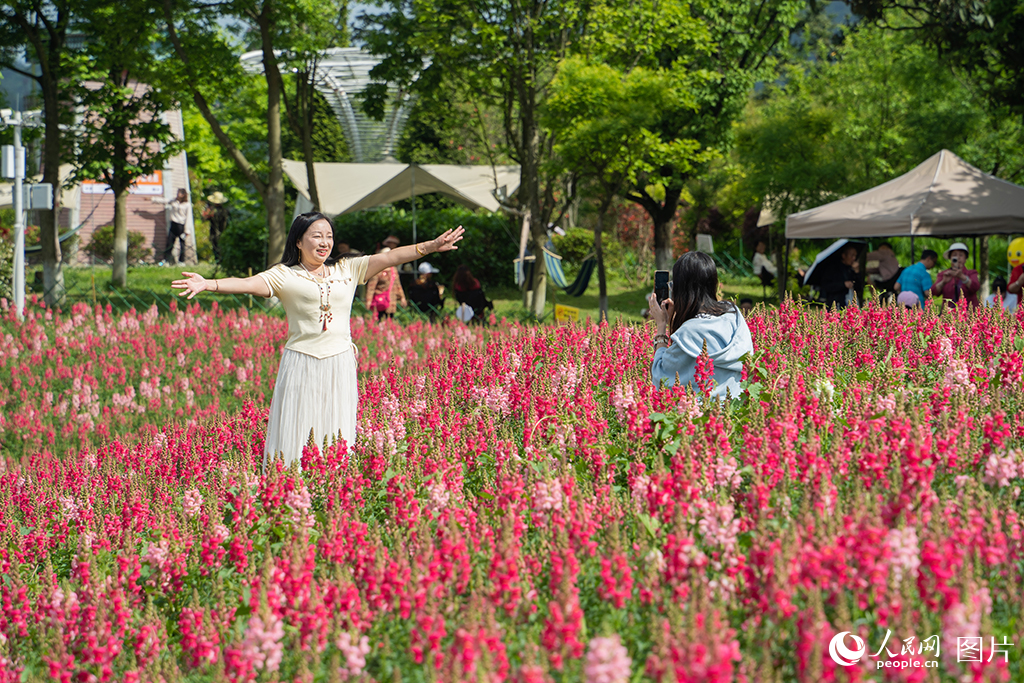 2025年5月2日，贵州省贵阳市花画小镇景区，游客在花海中拍摄打卡。人民网 阳茜摄