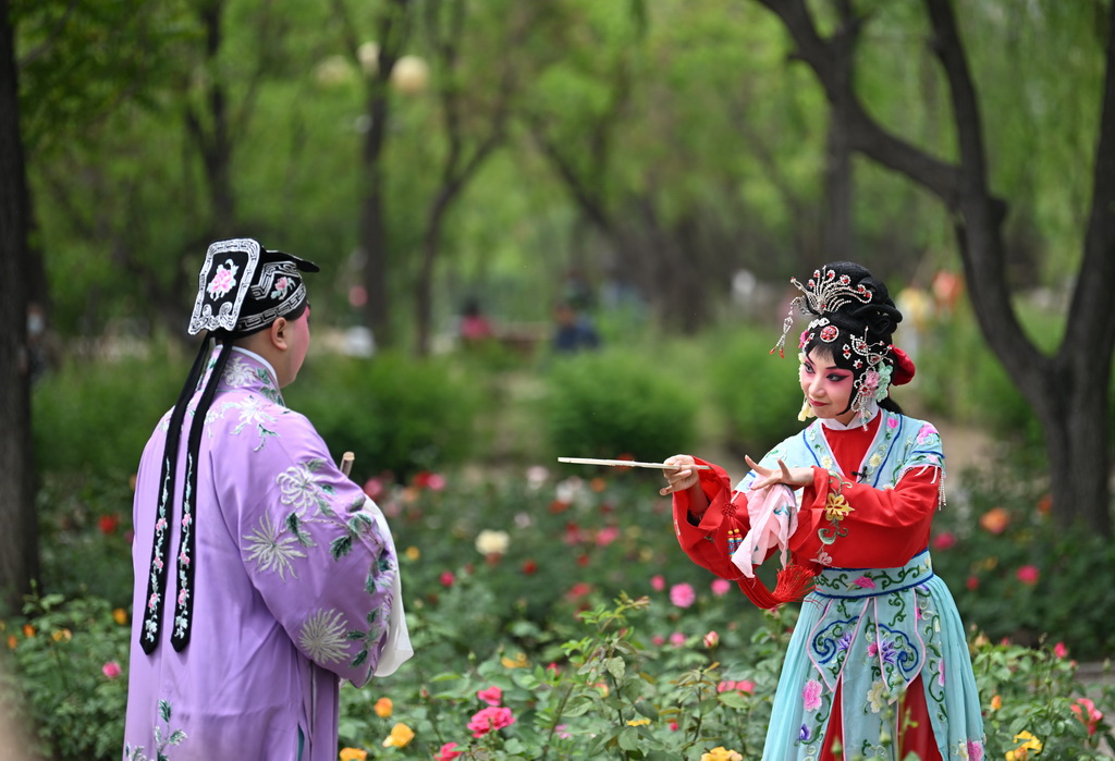 5月5日，演员在天津人民公园为观众表演京剧《西厢记》。