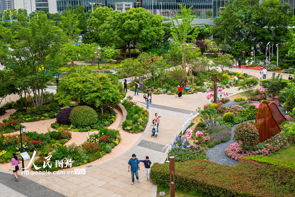 上海国际花展激发“赏花经济”新活力【2】