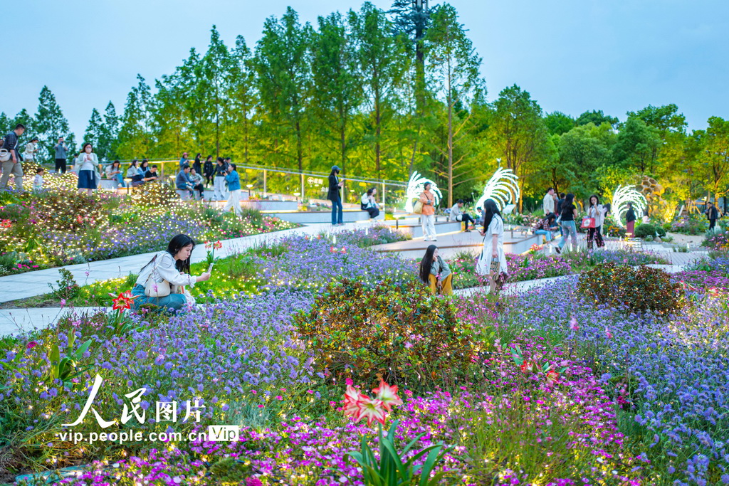 上海国际花展激发“赏花经济”新活力