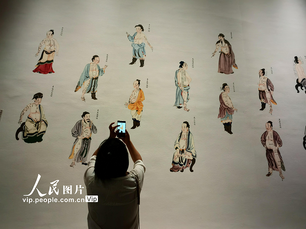 北京：“生生之道——中医药非遗主题展”在中国非遗馆开展【2】