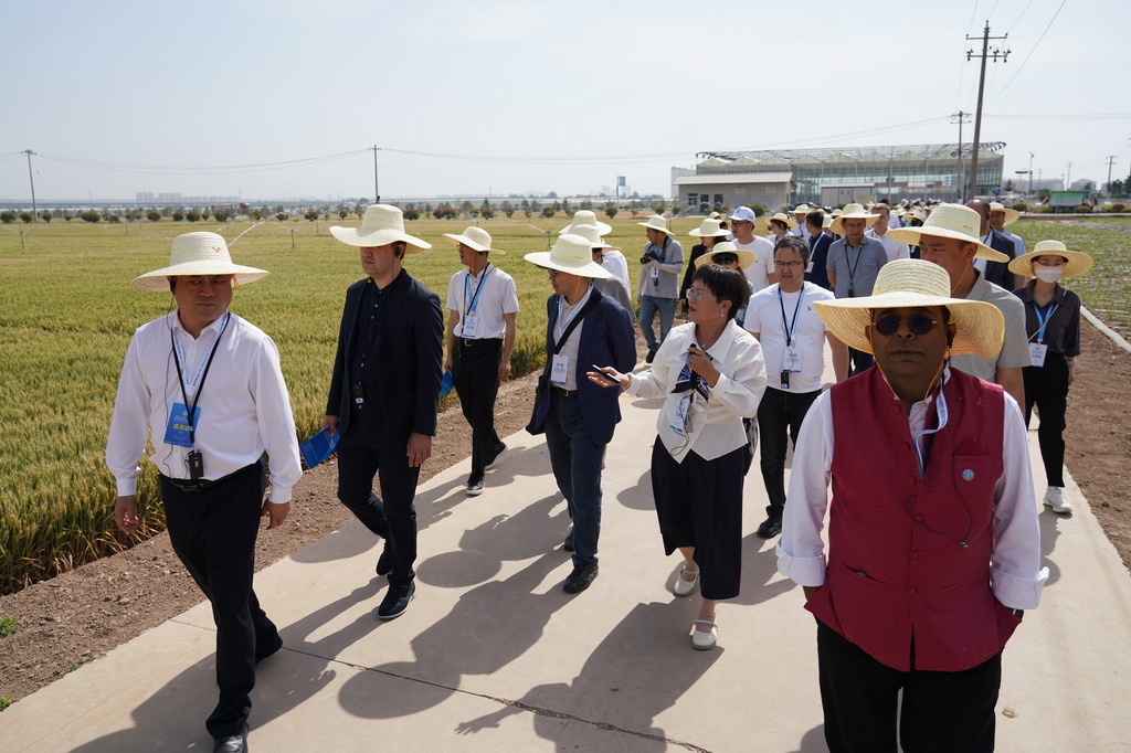 5月19日，与会人员在陕西杨凌参观旱区农业节水技术与装备田间展。