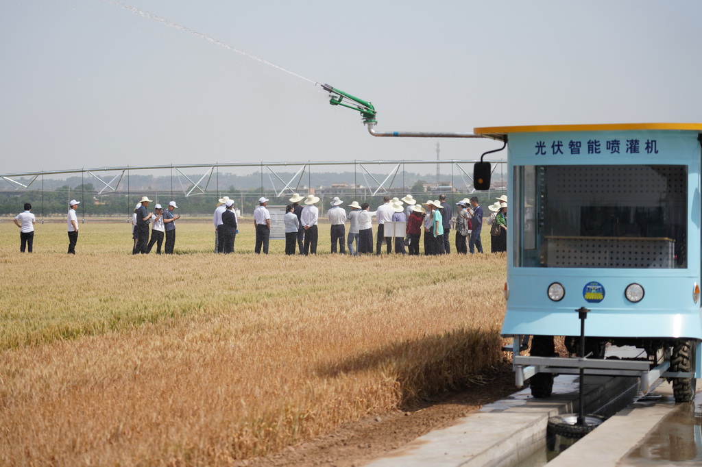 5月19日，与会人员在陕西杨凌参观旱区农业节水技术与装备田间展。