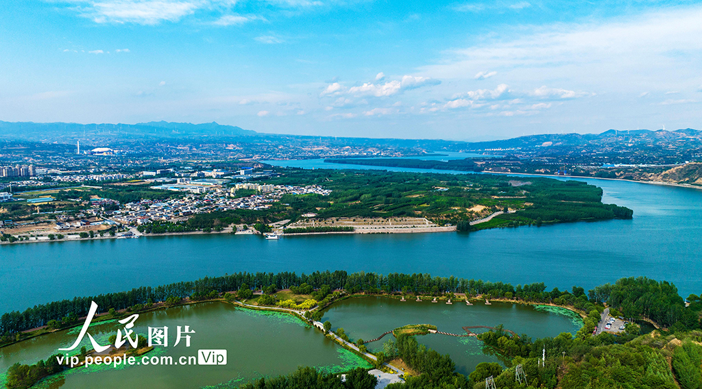 河南三门峡：黄河两岸生态美【5】