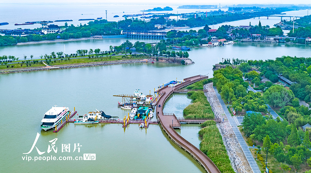 江苏淮安：洪泽湖初夏景色美【4】