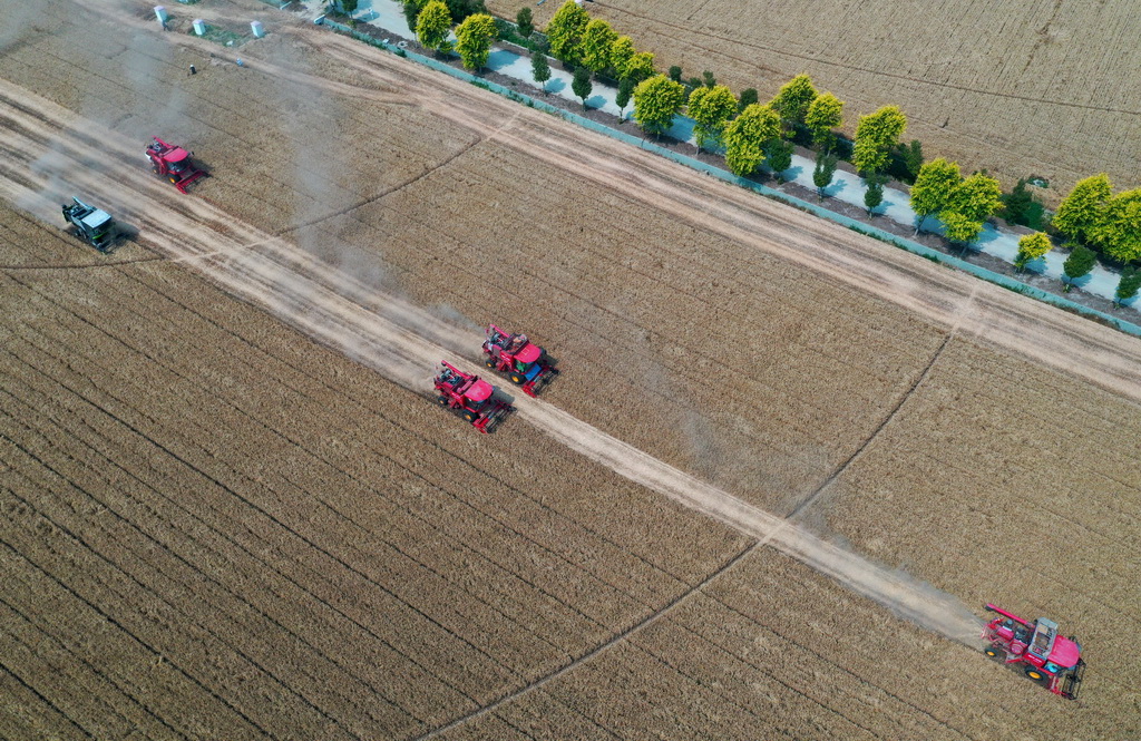 这是5月28日在河南省周口市商水县张庄镇张坡村拍摄的活动现场（无人机照片）。