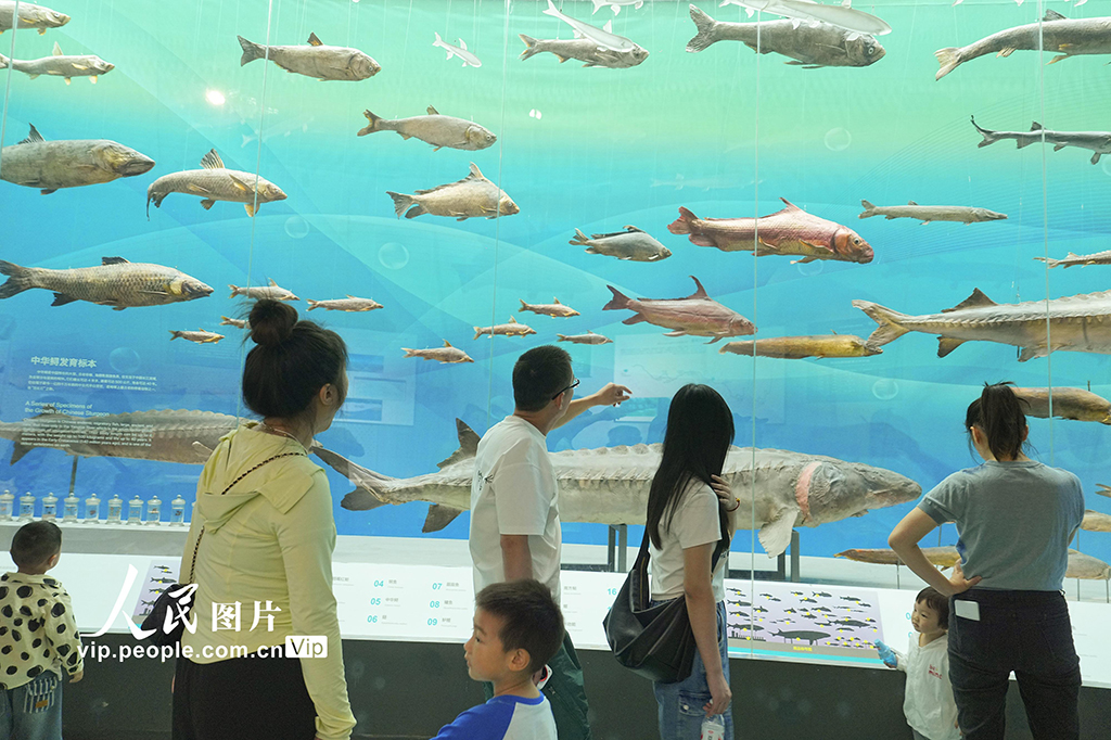 重庆北碚：博物馆里度假期【2】
