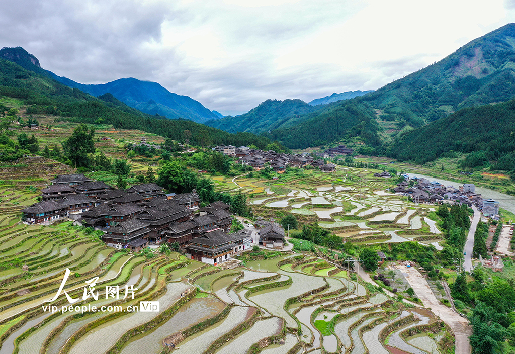 贵州从江：夏日乡村田园美