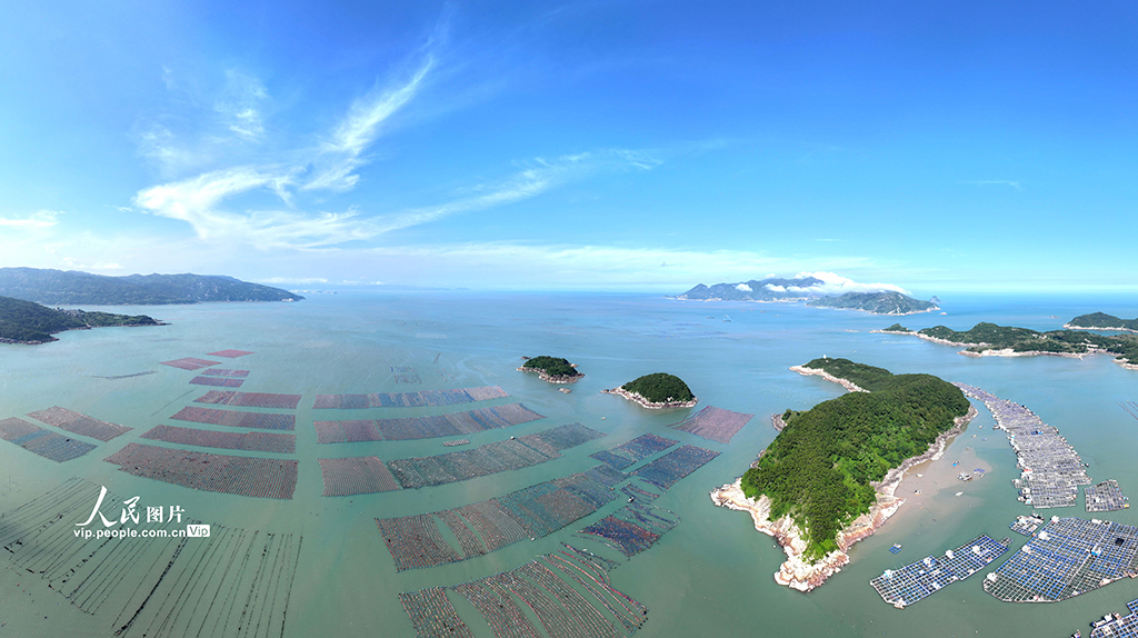福建霞浦：海洋牧场养殖作业