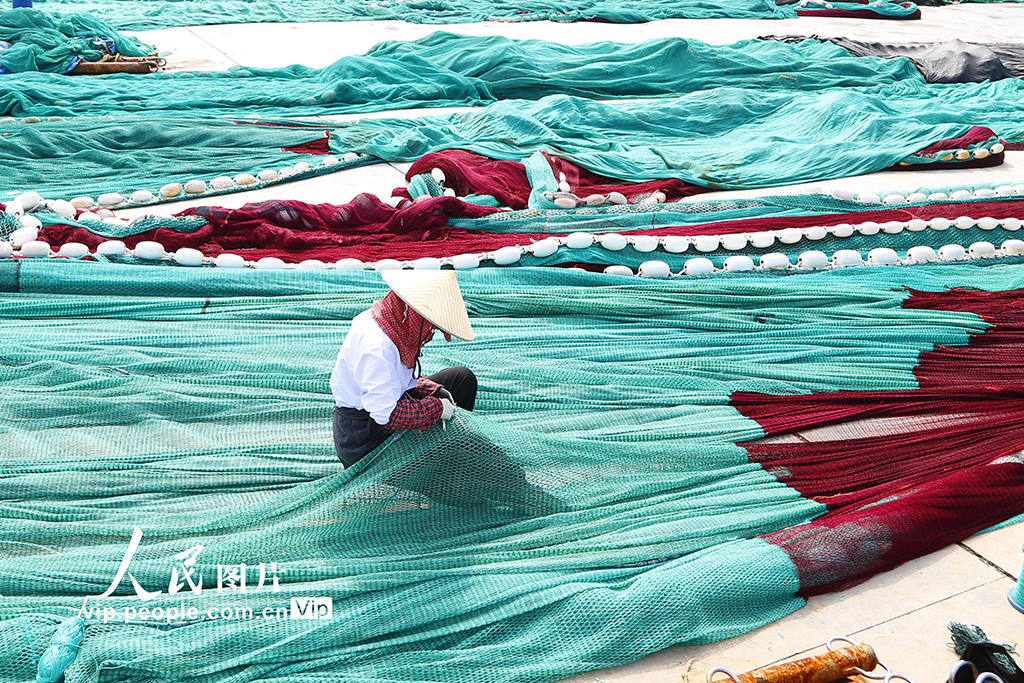 浙江玉环：伏休季补网