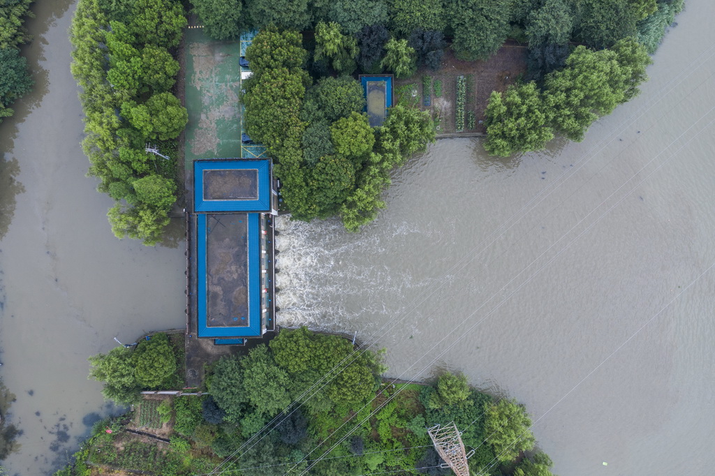 6月11日，嘉兴市南湖区大桥镇十八里圩区夏义港泵站在排涝（无人机照片）。