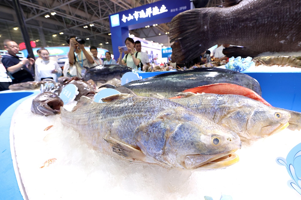 福建福州：渔业周·渔博会开幕【3】