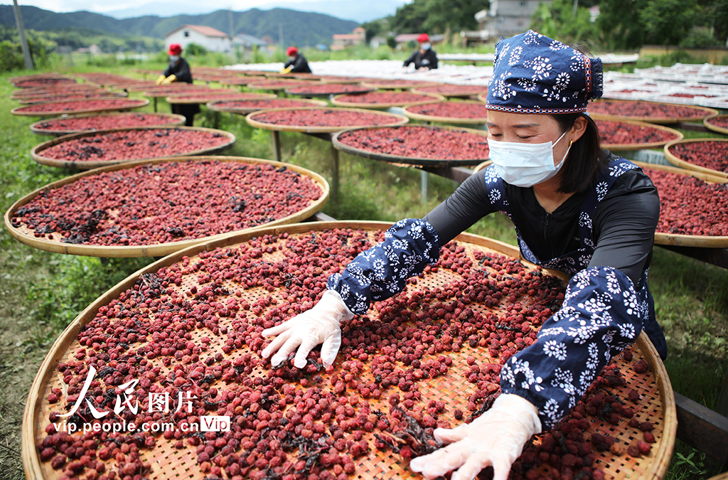 江西宜春：制作美食促增收