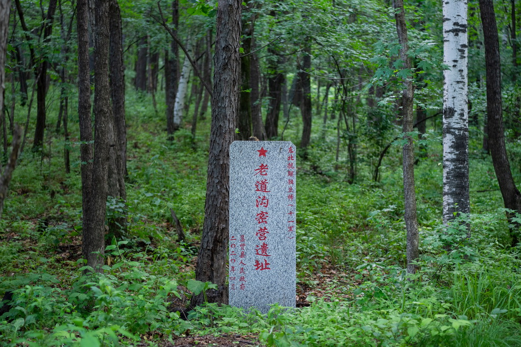 这是6月17日拍摄的七星砬子抗联密营遗址一角。
