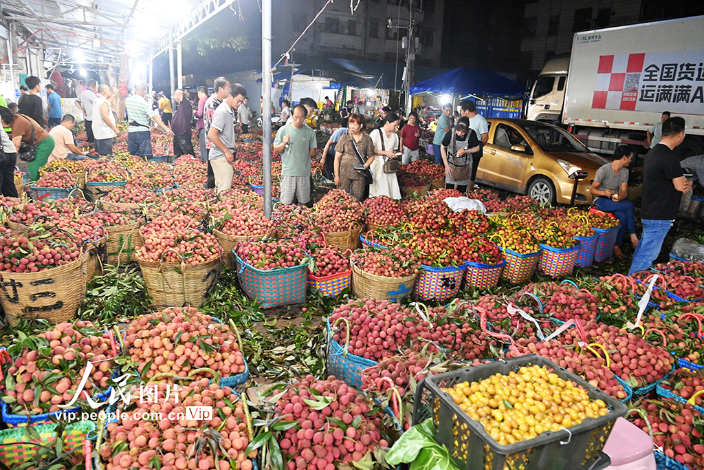 广西合浦：荔枝交易火爆【3】