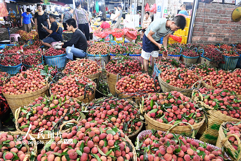 广西合浦：荔枝交易火爆【5】