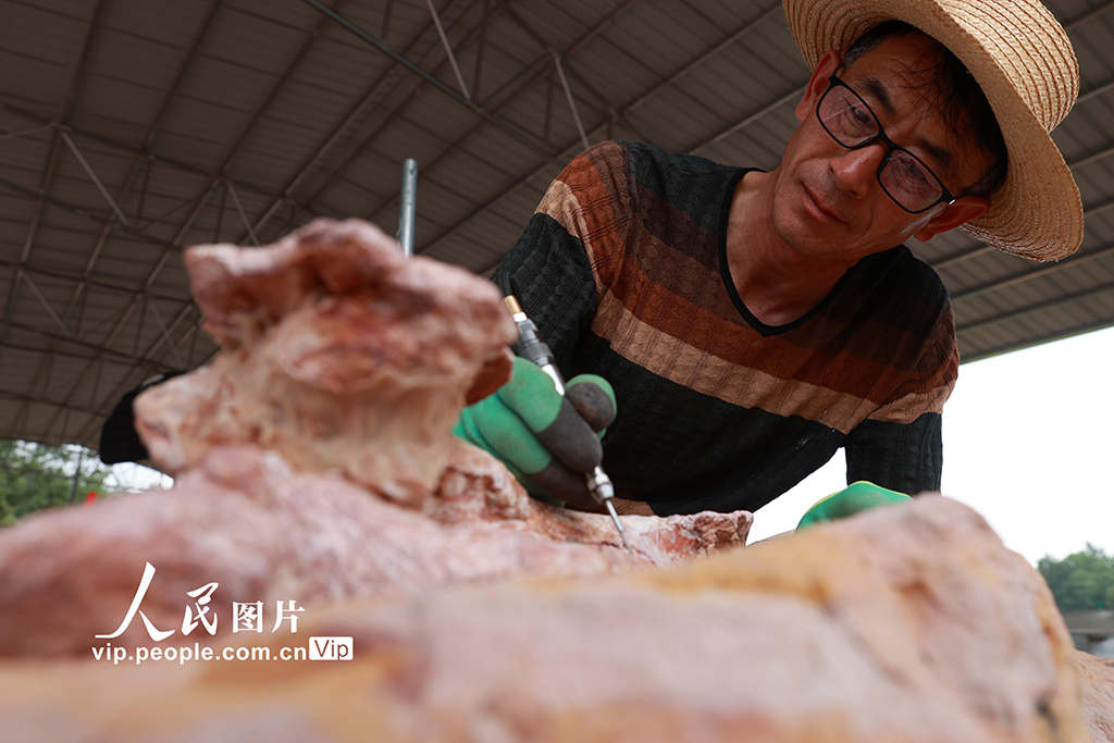 重庆黔江成为目前我国西南地区唯一白垩纪恐龙化石集群埋藏地【5】