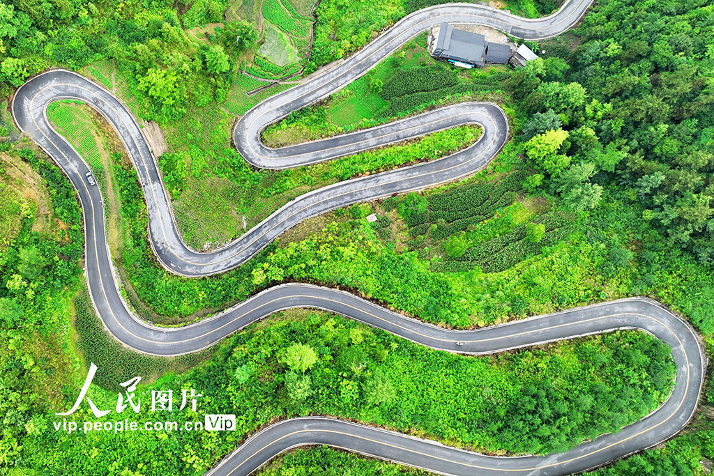 重庆酉阳：农村“四好公路”助力乡村振兴【3】