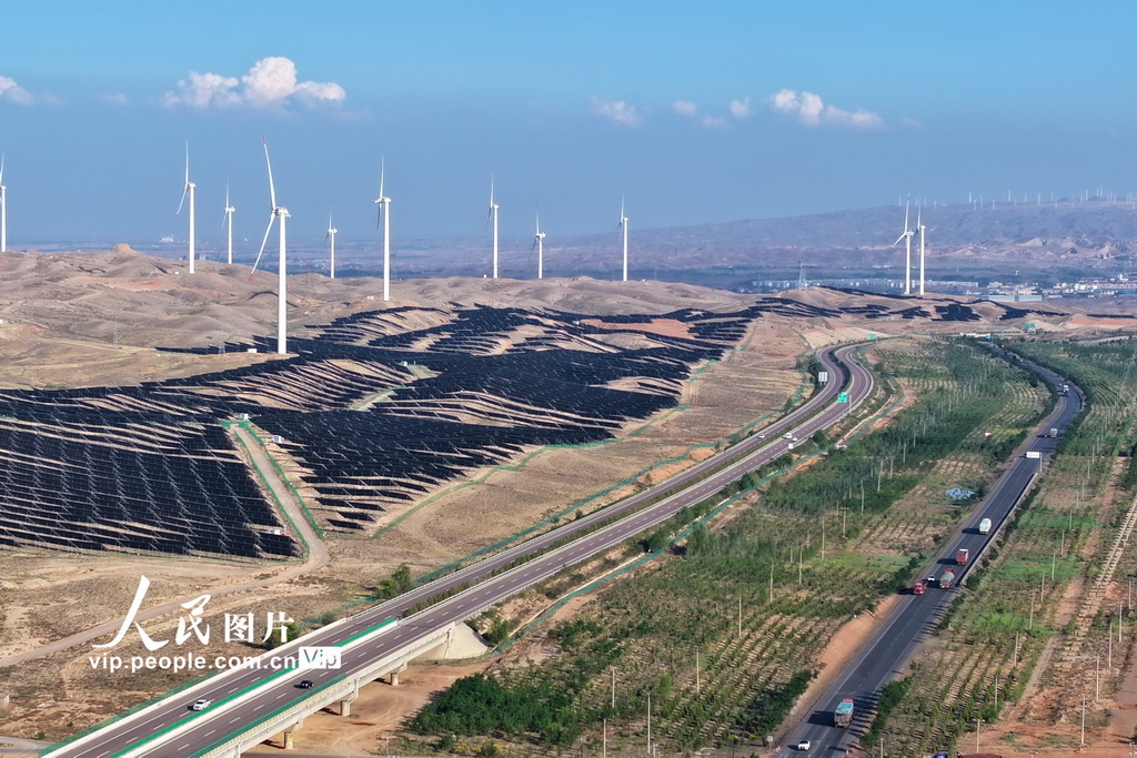 宁夏青铜峡：戈壁滩上好“风景”