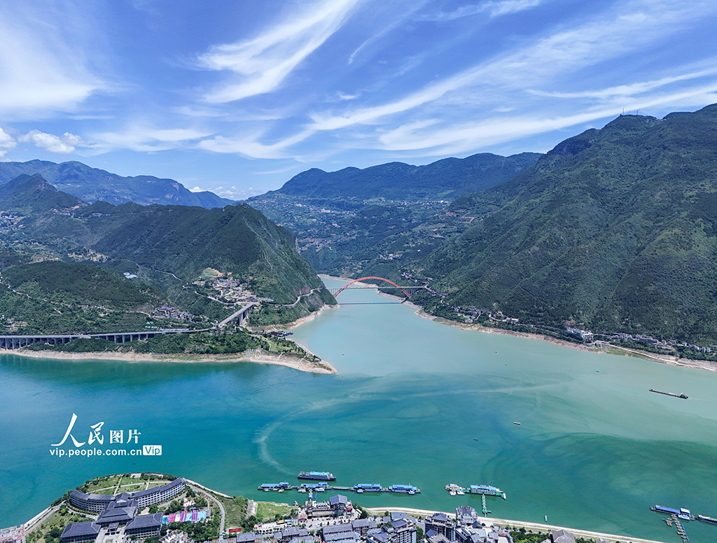 重庆：长江巫峡段现“泾渭分明”鸳鸯景观