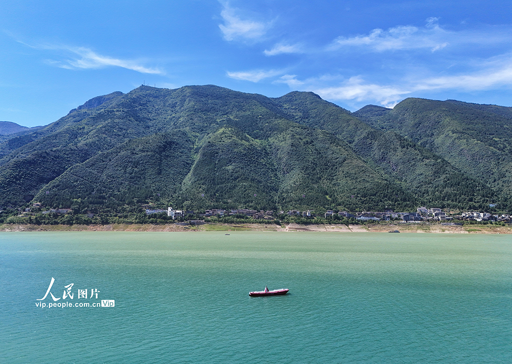 重庆：长江巫峡段现“泾渭分明”鸳鸯景观【3】