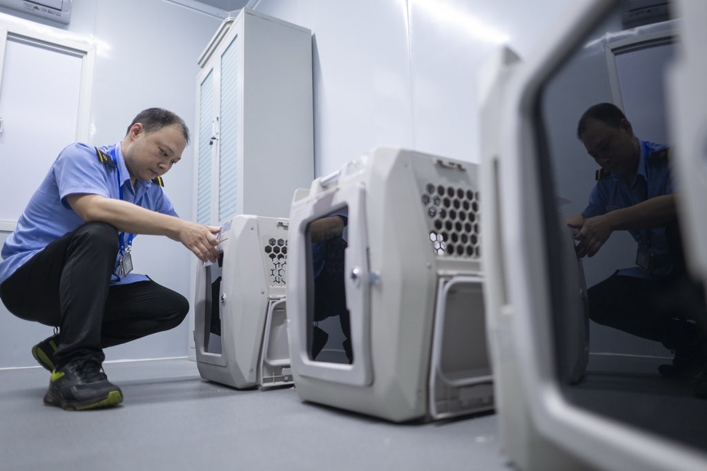 7月1日，武汉站工作人员检查专用宠物运输箱功能运行情况。