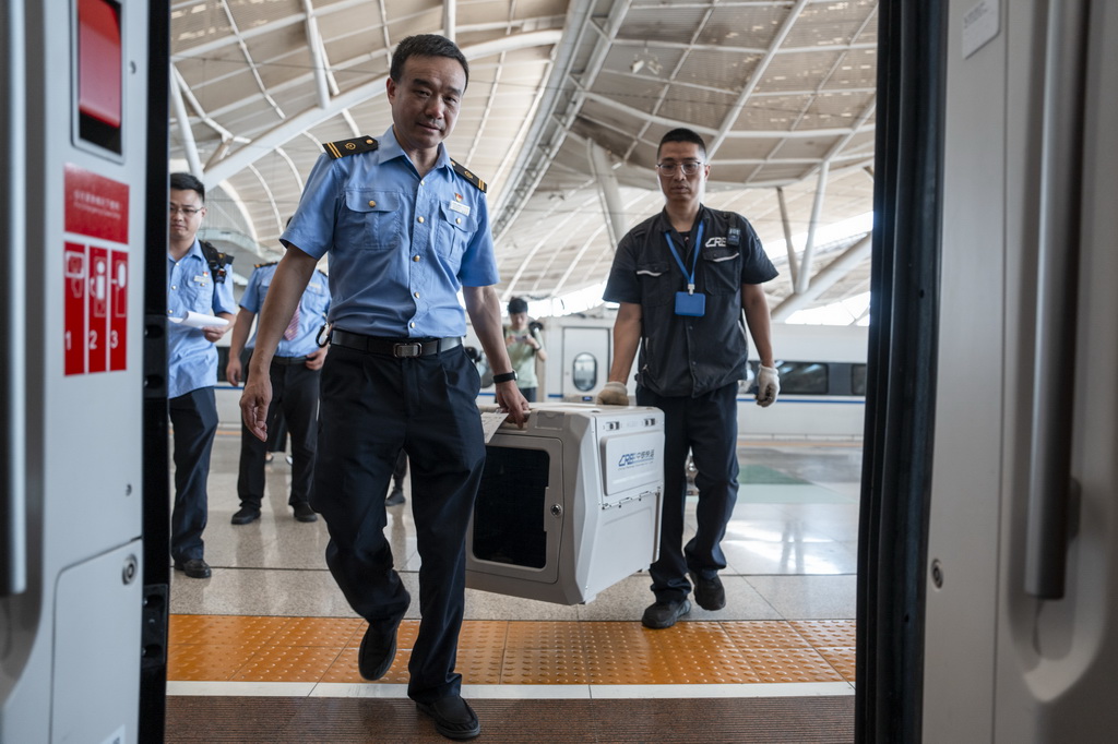 武汉：“萌宠”旅客乘高铁