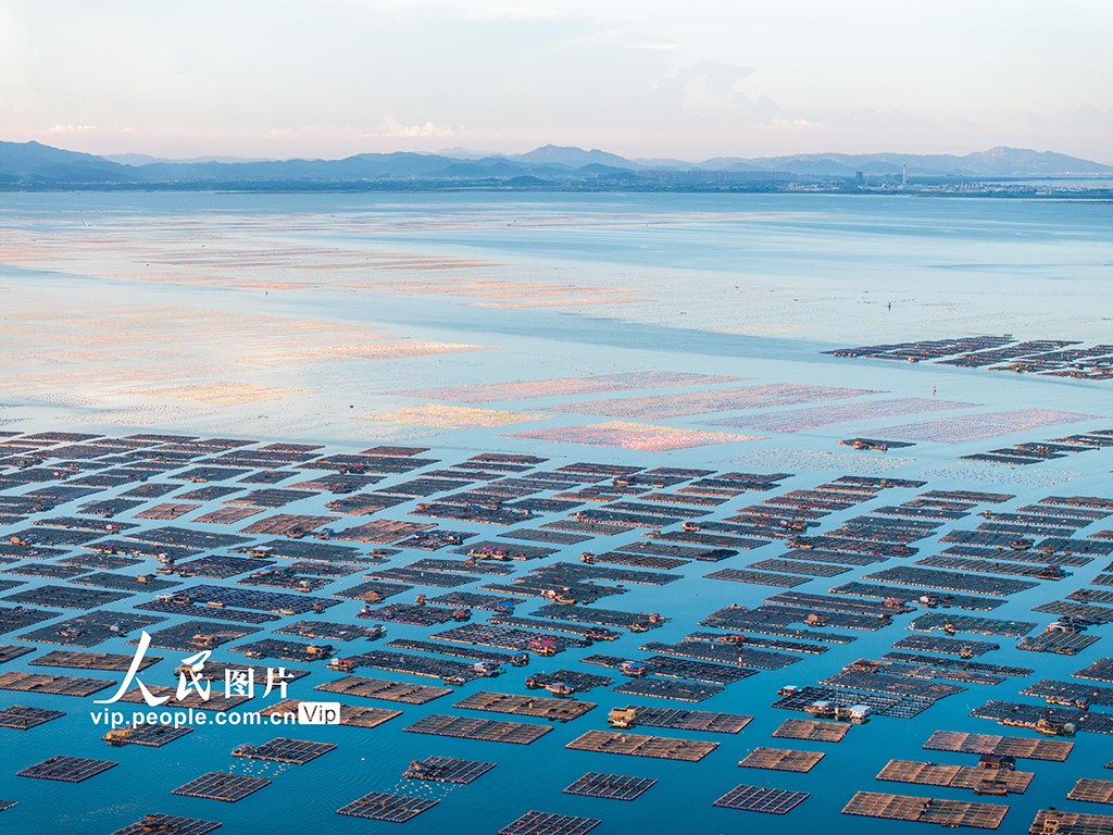 福建东山：海洋牧场