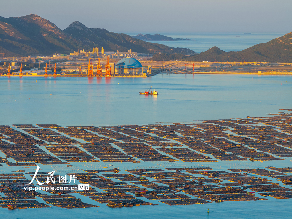 福建东山：海洋牧场【7】