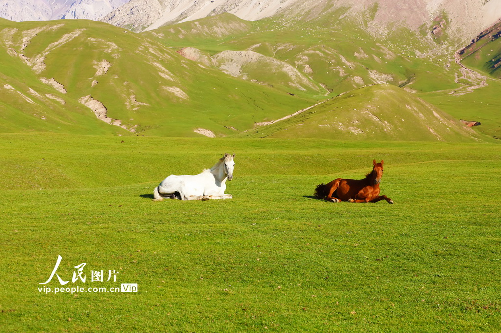 新疆温宿：草原夏日胜景【4】