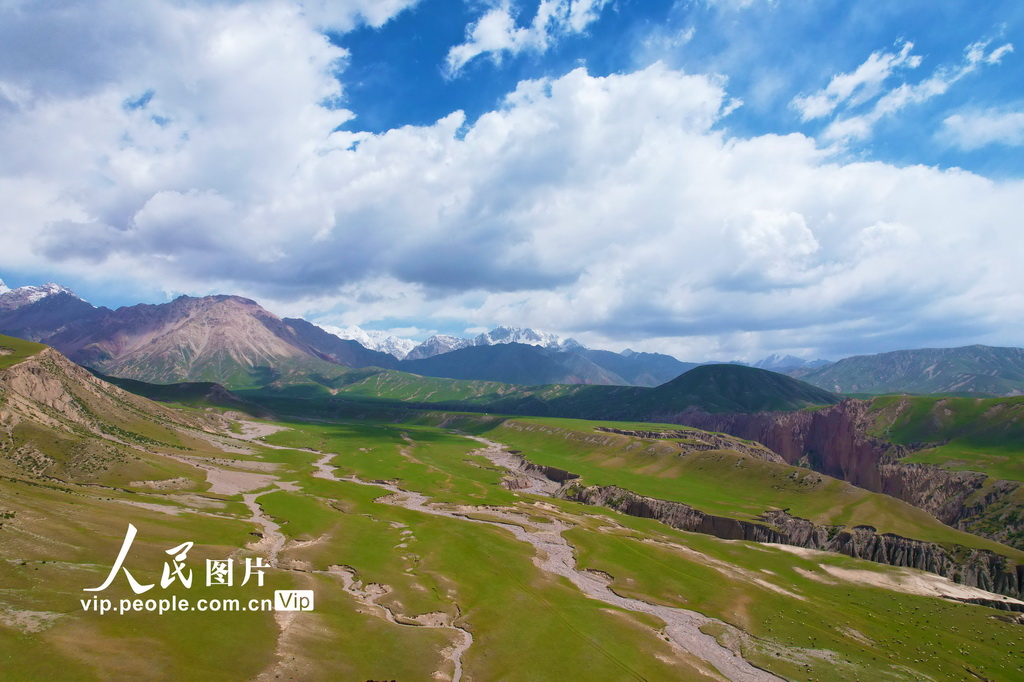 新疆温宿：草原夏日胜景【5】