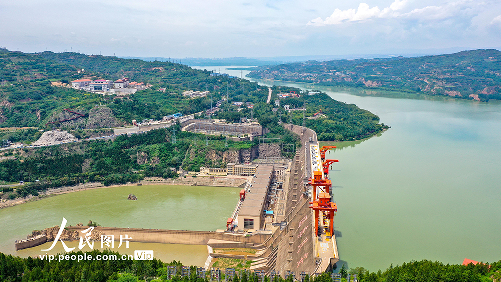 山西运城：黄河岸畔绿意浓【2】