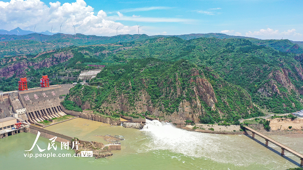 山西运城：黄河岸畔绿意浓【3】