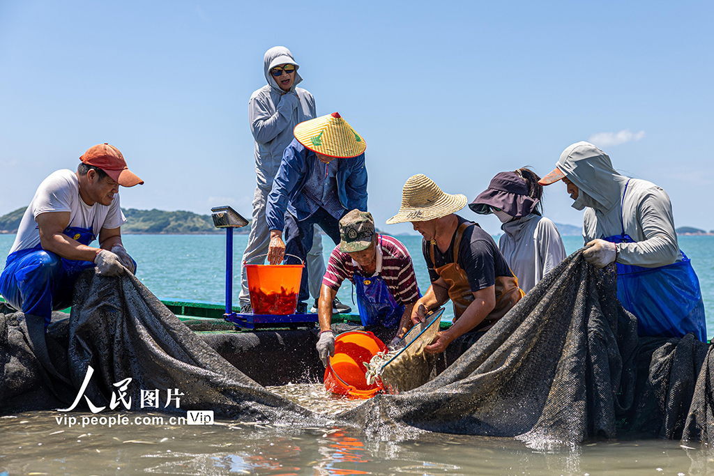 浙江温岭：东海开展增殖放流【3】