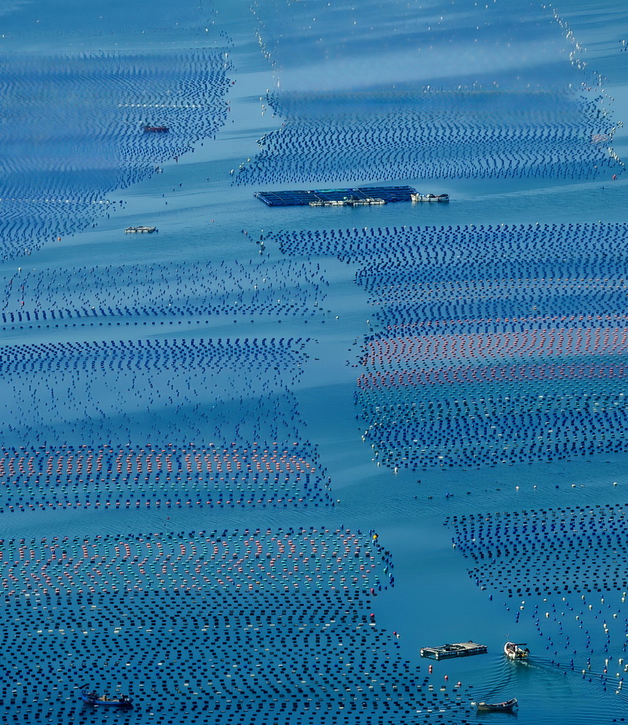 在蔚蓝的海面上，养殖渔排与浮球交织出一幅多彩的画卷（7月3日摄，无人机照片）。